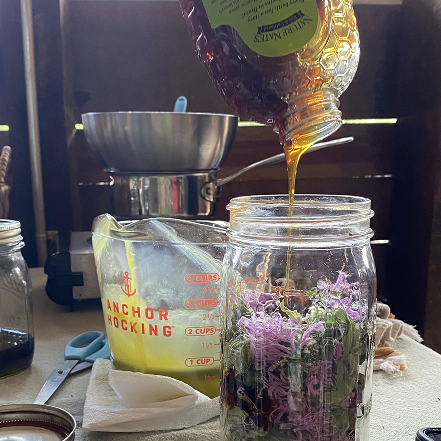 The Art of Herbalism